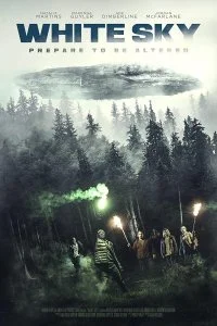 Постер к Белое небо (2021)
